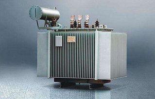 A Quick Guide: Key Differences and Selection Guide for Dry-Type vs. Oil-Immersed Transformers